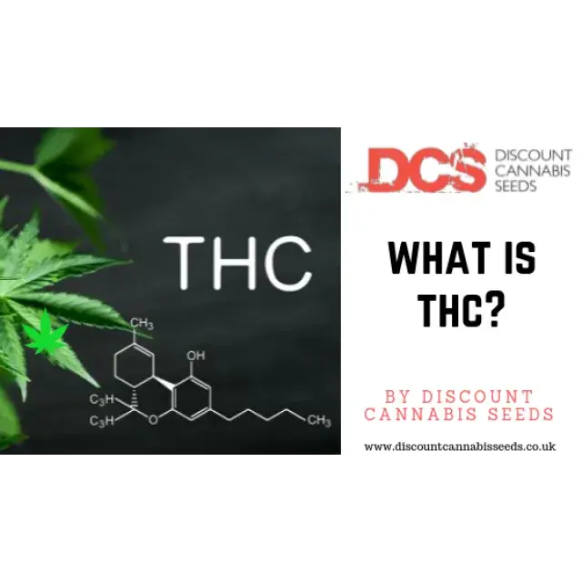 Cannabis Seeds - What is THC?