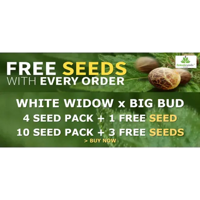 Cannabis Seeds Best Selling Strains - Discount Cannabis Seeds.