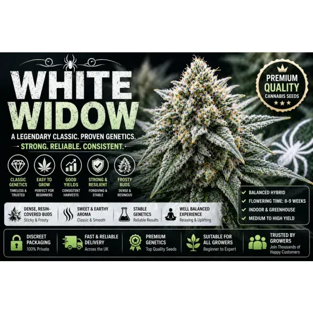 White Widow Cannabis Seeds UK (Classic Strain Guide 2026).