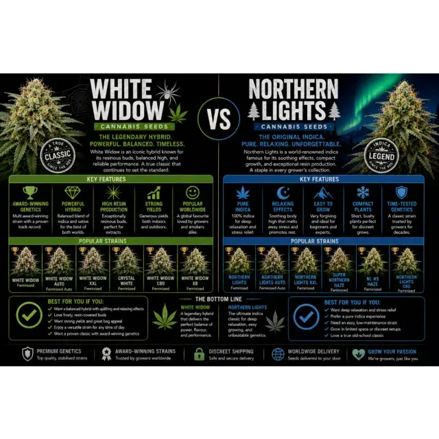 White Widow Cannabis Seeds vs Northern Lights Cannabis Seeds