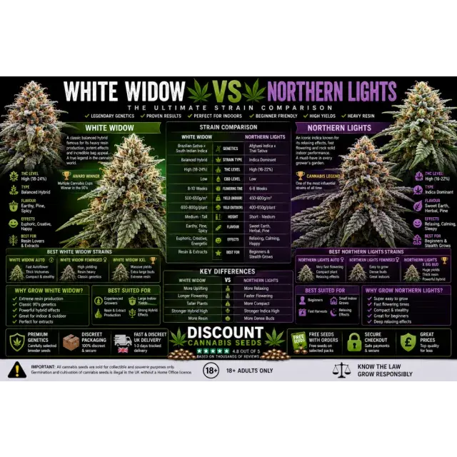 Cannabis Seeds: White Widow vs Northern Lights Compared.
