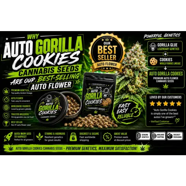 Why Auto Gorilla Cookies Cannabis Seeds Are Our Best-Selling Auto Flower.