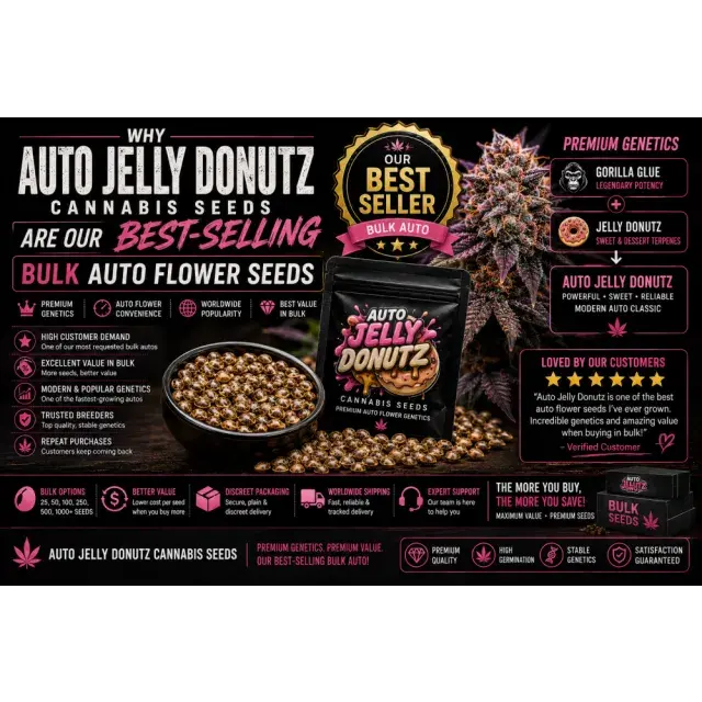 Why Auto Jelly Donutz Cannabis Seeds Are Our Best-Selling Bulk Auto Flower Seeds.