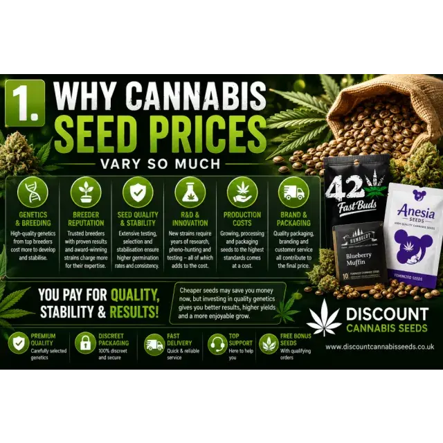 Cannabis Seeds: Why Cannabis Seed Prices Vary So Much.