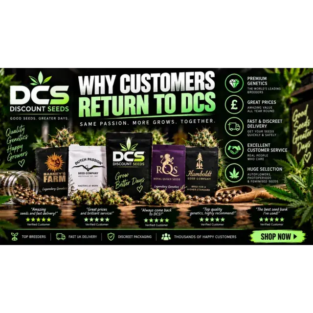 Cannabis Seeds: Why Customers Return to DCS Cannabis Seeds.