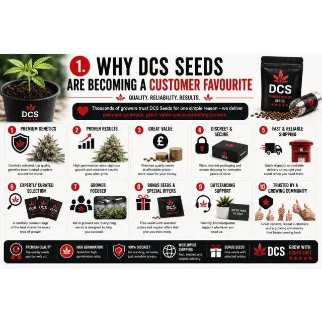 Cannabis Seeds: Why DCS Seeds Are Becoming a Customer Favourite