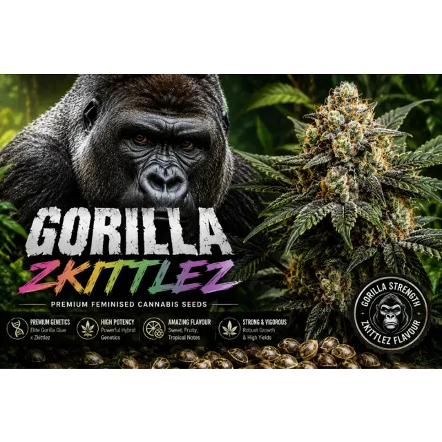Why Gorilla Zkittlez Cannabis Seeds Are Our Best-Selling Bulk Feminised Seeds
