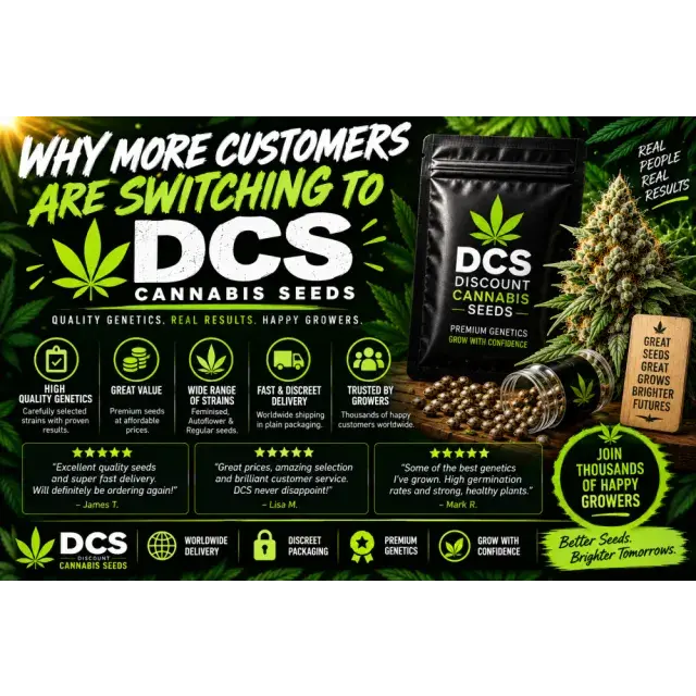 Cannabis Seeds: Why Customers Are Switching to DCS Cannabis Seeds