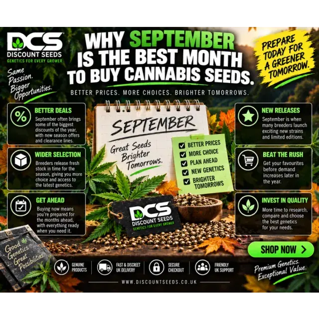 Cannabis Seeds: Why September Is the Best Month to Buy Seeds.
