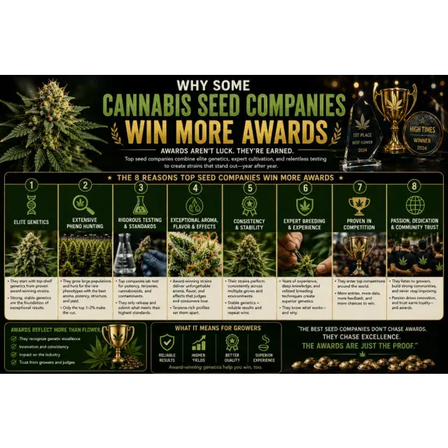 Cannabis Seeds: Why Some Seed Companies Win More Awards.