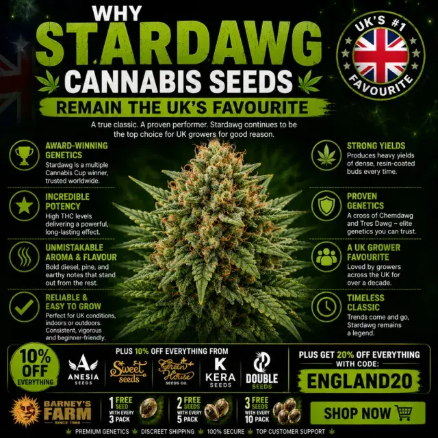 Cannabis Seeds: Why Stardawg Seeds Remain the UK's Favourite.
