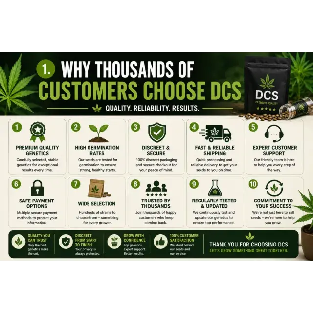Cannabis Seeds: Why Thousands of Customers Choose DCS Seeds.