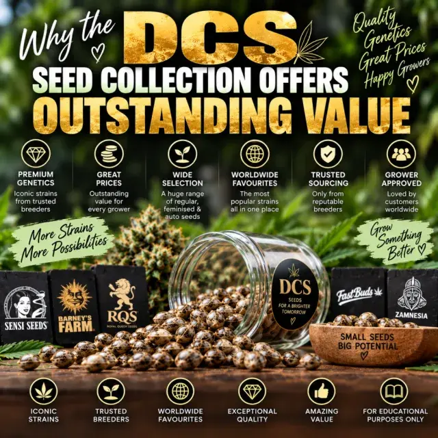 Cannabis Seeds: Why the DCS Seed Collection Offers Outstanding Value.