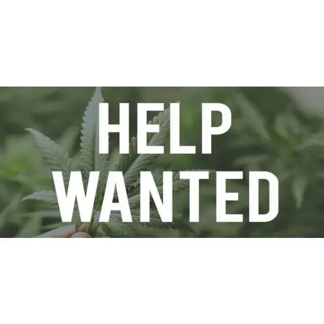 Working in the Cannabis Industry - Discount Cannabis Seeds.