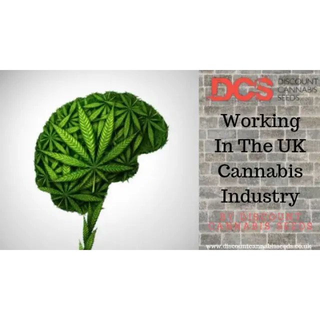 Working in the UK Cannabis Industry - Discount Cannabis Seeds