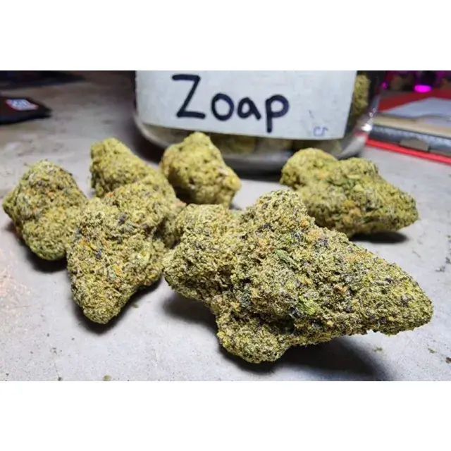 The Wide Range of Zoap Cannabis Seeds at Discount Cannabis Seeds.