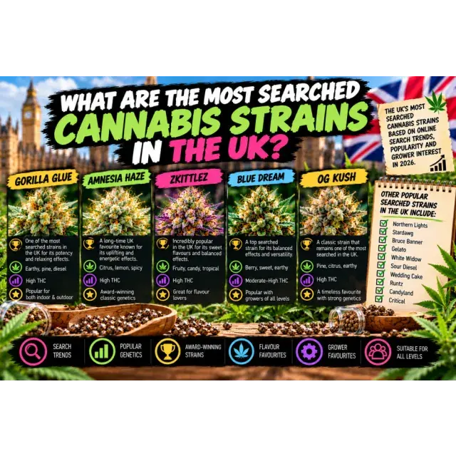 Cannabis Seeds: What Are the Most Searched Cannabis Strains in the UK? (2026 Guide)
