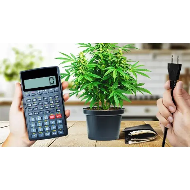 Budget im Griff: Stromkosten für den Cannabisanbau berechnen – von Discount Cannabis Seeds.