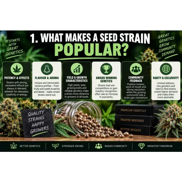 Cannabis Seeds: What Makes a Cannabis Seeds Strain Popular?