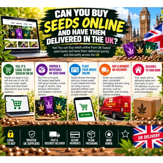 Cannabis Seeds: Can You Buy Cannabis Seeds Online and Have Them Delivered in the UK?