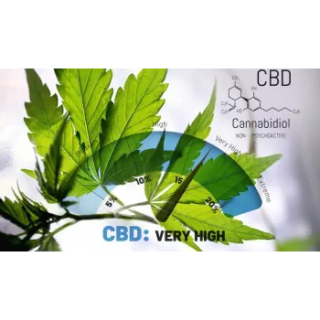 CBD Cannabis Seeds Guide: Best Low THC High CBD Strains.
