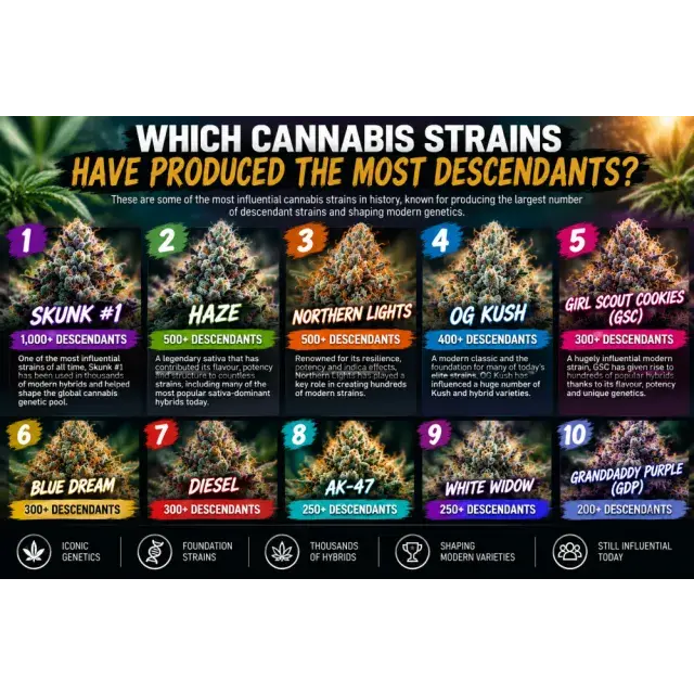 Cannabis Seeds: Which Cannabis Strains Have Produced the Most Descendants?
