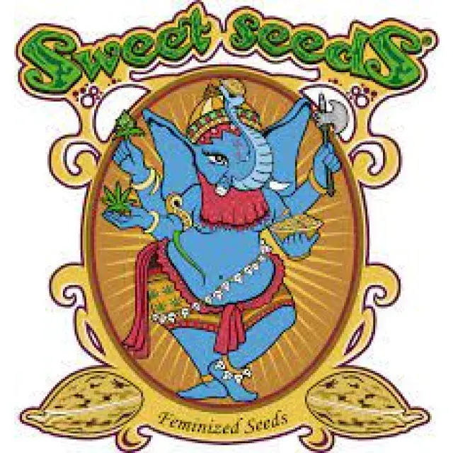 Sweet Seeds Cannabis Seeds: Unveiling Discount Cannabis Seeds.