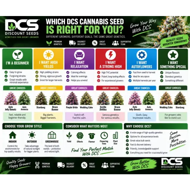 Cannabis Seeds: Which DCS Cannabis Seed Is Right for You?