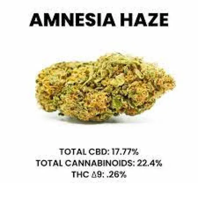 Haze Cannabis Seeds Strain: Origins, Effects, and Growing Tips by Discount Cannabis Seeds.