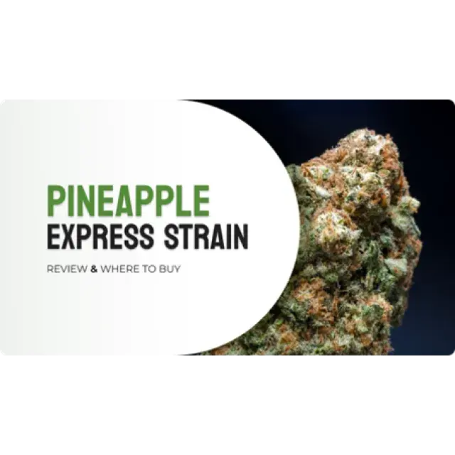 Tropical Bliss with Pineapple Express Cannabis Seeds.