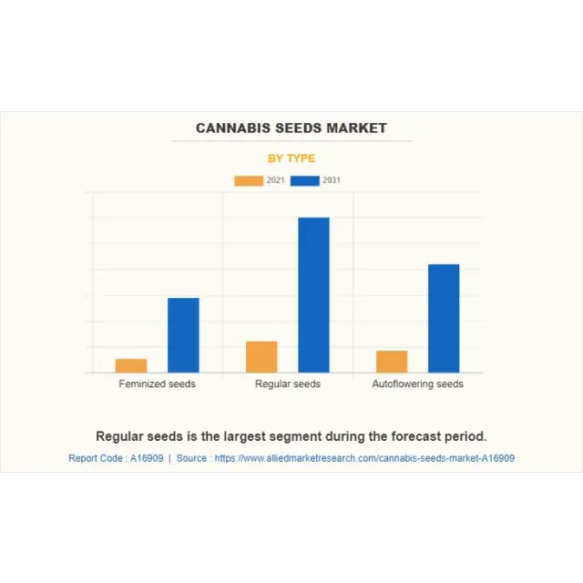 Are Cheap Cannabis Seeds Worth It? What UK Buyers Should Really Expect?