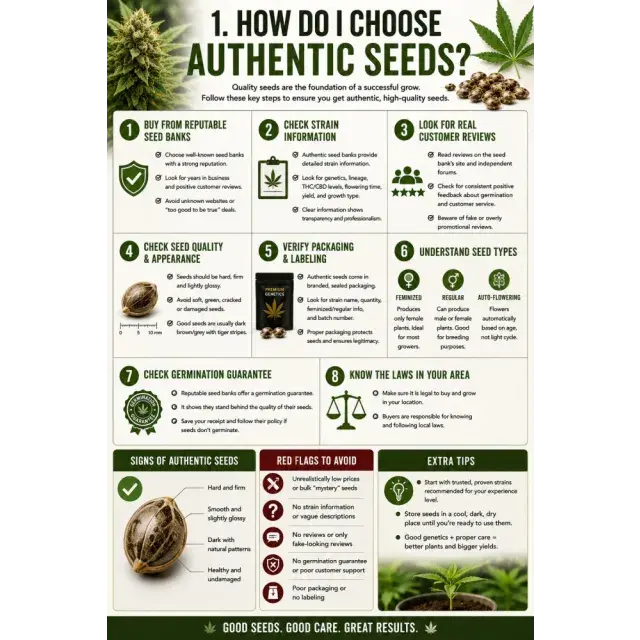 Cannabis Seeds: How Do I Choose Authentic Cannabis Seeds?