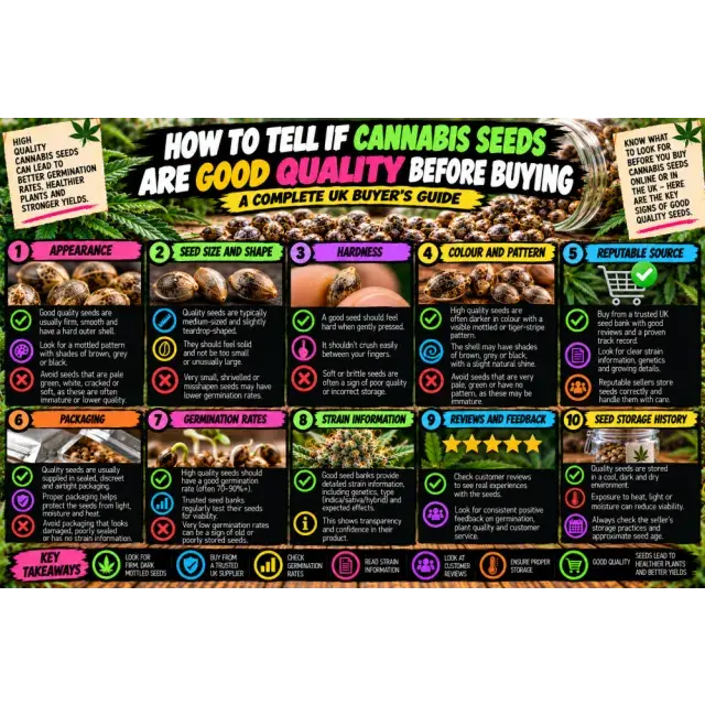 Cannabis Seeds: How to Tell If Cannabis Seeds Are Good Quality Before Buying.