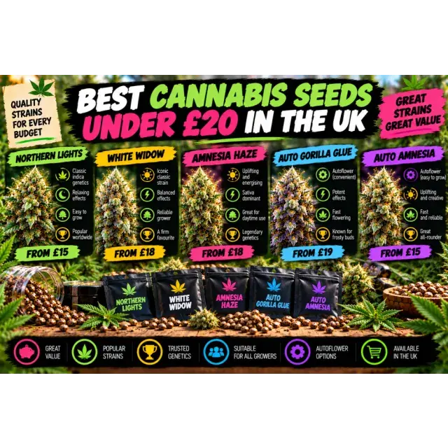 Best Cannabis Seeds Under £20 in the UK: Affordable Genetics.