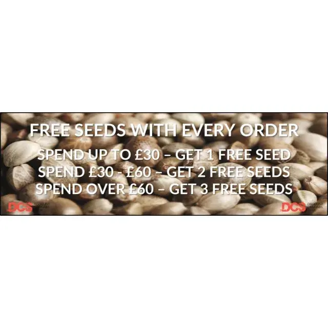 Cannabis Seeds: Your Gateway to Exclusive Offers and Top Strains