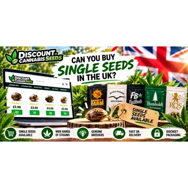 Cannabis Seeds: Can You Buy Single Cannabis Seeds in the UK?