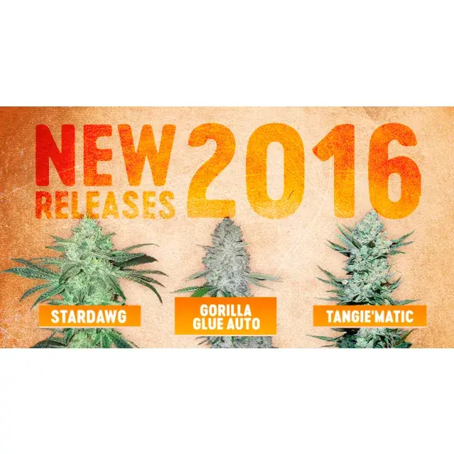 New Seed Strains from Fast Buds