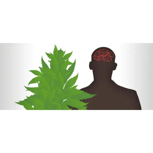 Cannabis Seeds - The Best Strains For Avoiding Paranoia.