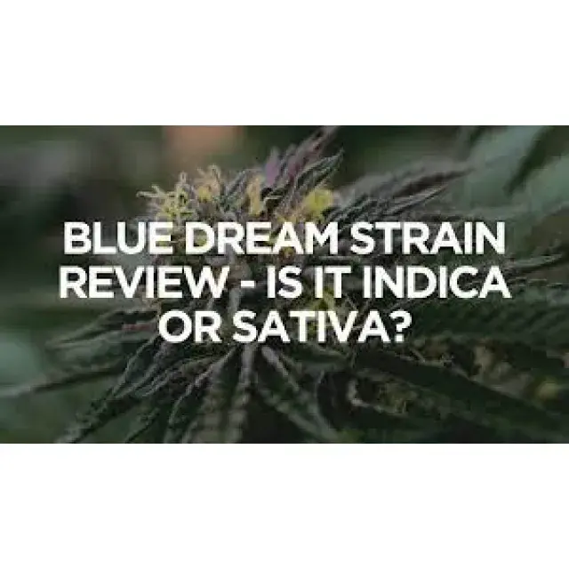 Entdecken Sie die faszinierende Welt der Blue Dream-Cannabissamen.