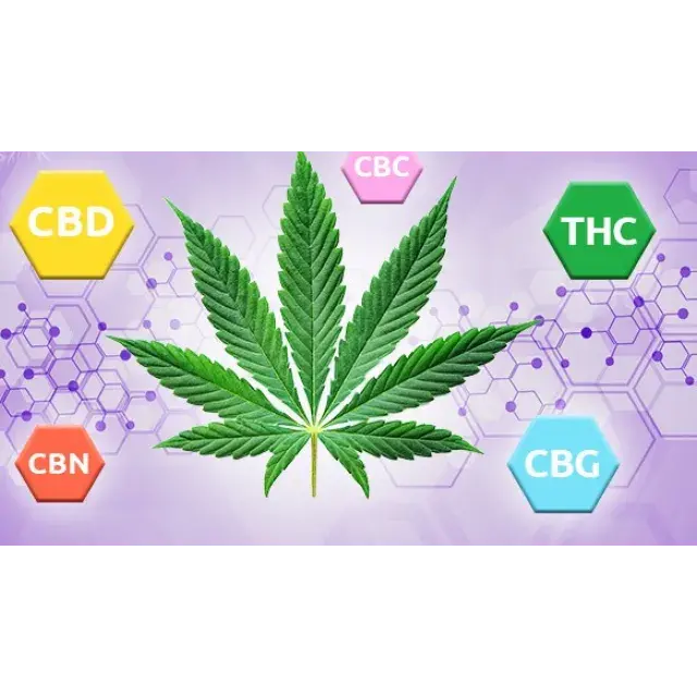 Essential Guide to the List of Cannabinoids: Effects and Health Benefits Explained by Discount Cannabis Seeds.