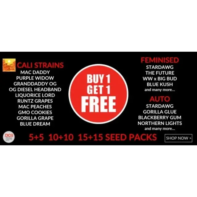 Discount Cannabis Seeds is the Ultimate Destination for Unbeatable Deals.