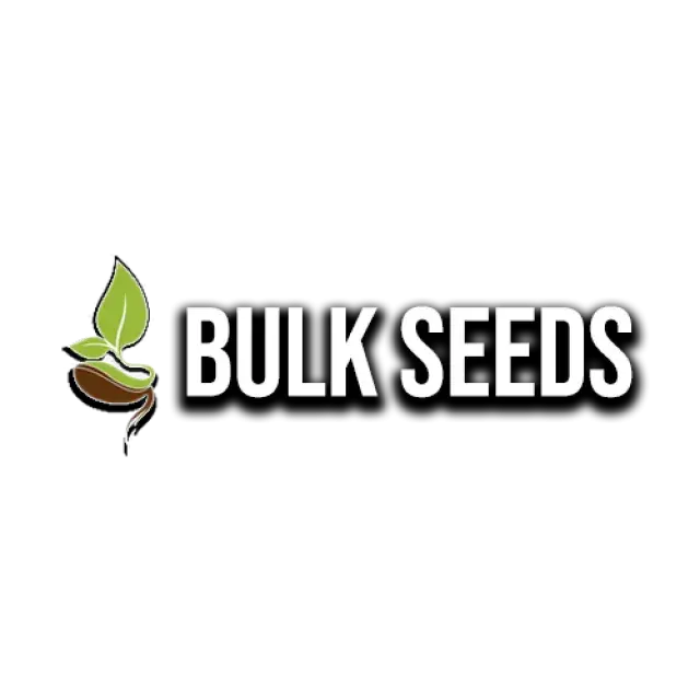 Bulk Cannabis Seeds vs Variety Packs: Pros and Cons.