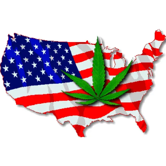 Cannabis Seeds - Lеgаlіzаtіоn оf Cаnnаbіѕ іn thе US.