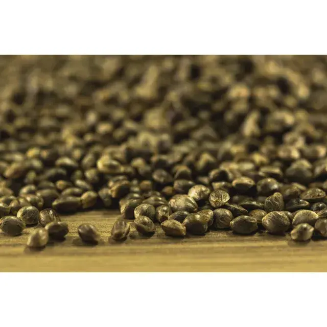 Weed Seeds The Best Cannabis Seeds for Your Needs.