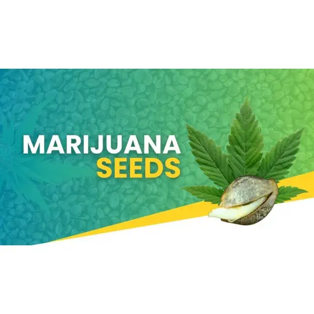 Discover the Best Discount Cannabis Seeds for Your New Cannabis Seeds Year
