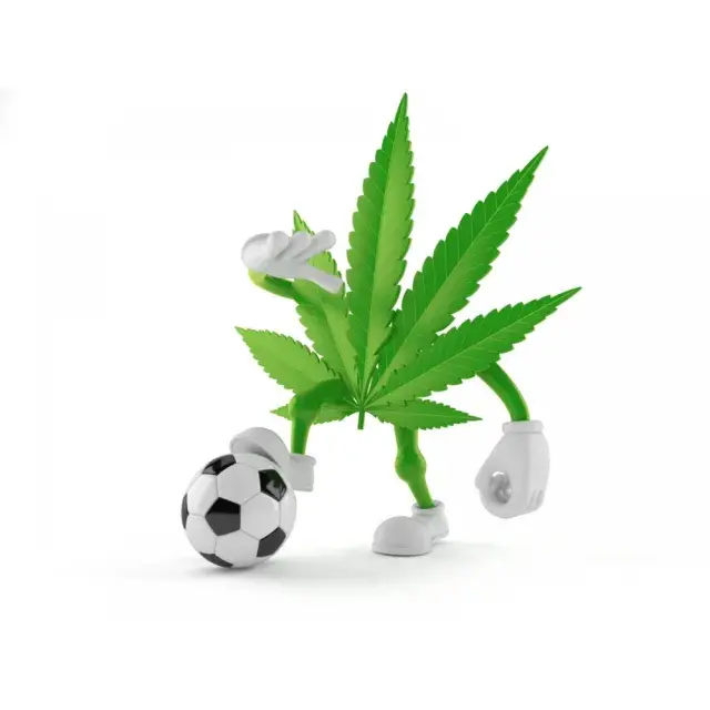 Unlock Savings Today: Enjoy 10% Off Cannabis Seeds on Orders Over £50