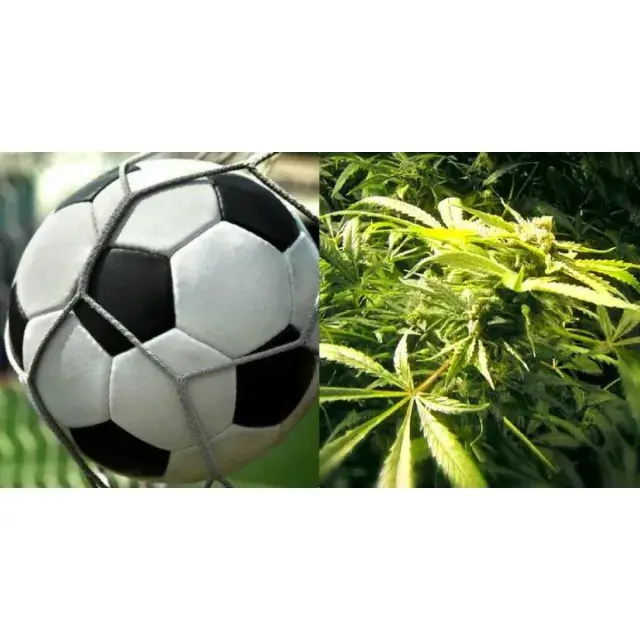 Elevate Your Football Watching Experience with Cannabis Seeds.