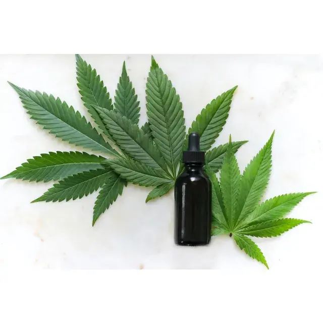 Regular Cannabis Seeds Discount Cannabis Seeds Are a Game-Changer.