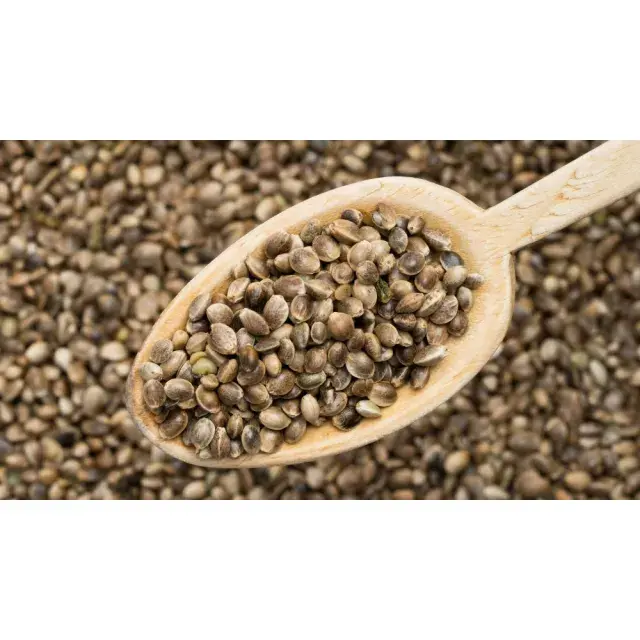Cannabis Seeds Genetic Drift – What Happens Over Multiple Generations?