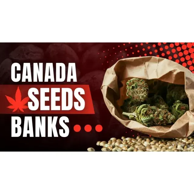 Unveiling the Secrets: Behind the Brand Interviews with Famous Cannabis Seeds Banks at Discount Cannabis Seeds.